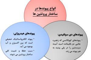 دانلود کامل ترین فایل بیوشیمی علوم ورزشی تخصصی pdf