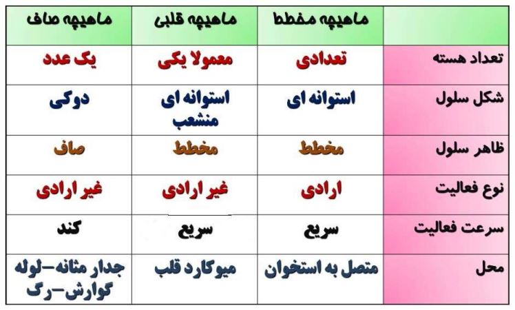 دانلود فایل فیزیولوژی ورزشی تخخصی و کمیاب pdf