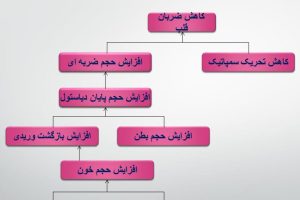 دانلود پی دی اف فیزیولوژی ورزشی (عضله) کمیاب و تخصصی