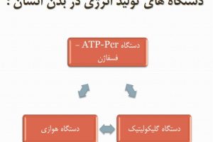 دانلود فایل فیزیولوژی ورزشی مربیگری تخصصی pdf