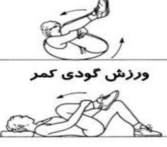 دانلود فایل حرکات اصلاحی در پرورش اندام تخصصی pdf